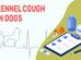 Kennel Cough In Dogs