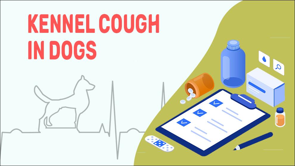 Kennel Cough In Dogs