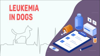 Image showcasing Leukemia In Dogs - Symptoms, Causes, And Treatments - Petmoo