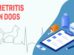 Metritis In Dogs