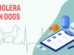 Molera In Dogs