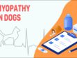 Myopathy In Dogs