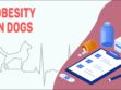 Obesity In Dogs