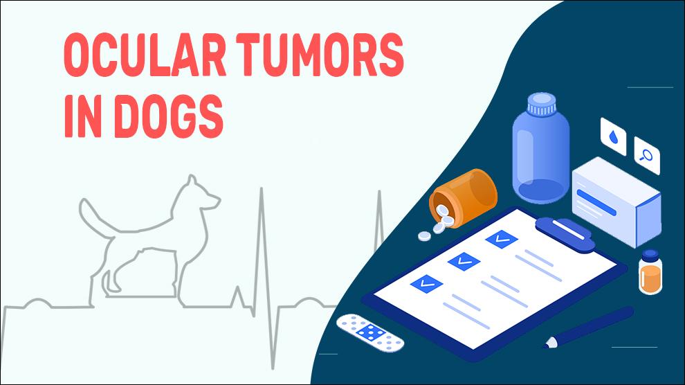 Ocular Tumors In Dogs