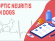 Optic Neuritis In Dogs