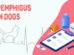 Pemphigus In Dogs