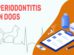 Periodontitis In Dogs