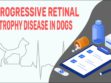 Progressive Retinal Atrophy Disease In Dogs