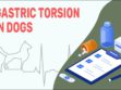 Gastric Torsion In Dogs