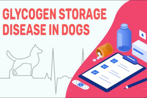 Glycogen Storage Disease In Dogs
