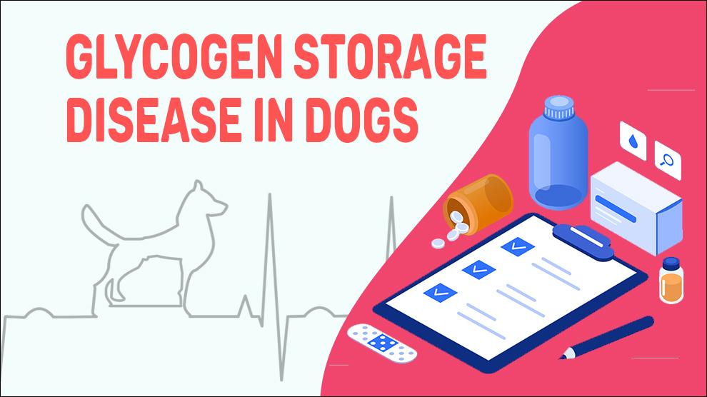 Glycogen Storage Disease In Dogs