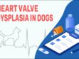 Heart Valve Dysplasia In Dogs