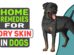 Home Remedies For Dry Skin In Dogs