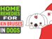 Home Remedies For Skin Bruises In Dogs