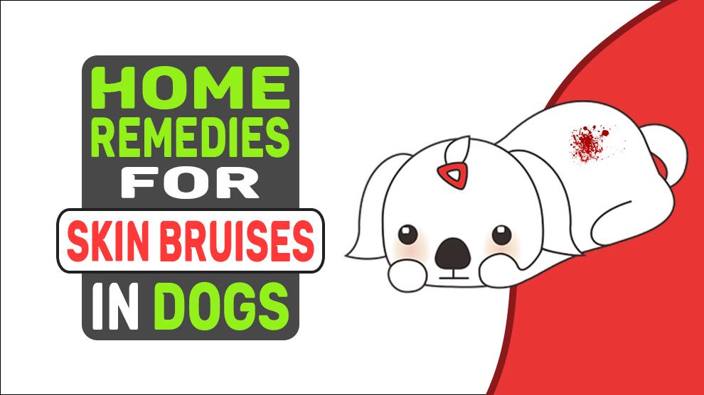 Home Remedies For Skin Bruises In Dogs