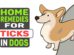 Home Remedies For Ticks In Dogs