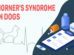 Horner's Syndrome In Dogs
