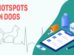 Hotspots In Dogs