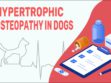 Hypertrophic Osteopathy In Dogs