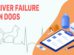 Liver Failure In Dogs