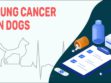 Lung Cancer In Dogs