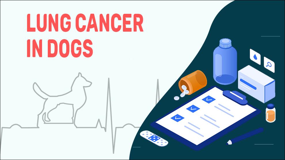 is lung cancer painful for dogs