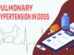 Pulmonary Hypertension In Dogs