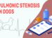 Pulmonic Stenosis In Dogs