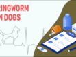 Ringworm In Dogs