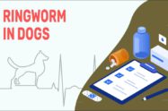Ringworm In Dogs