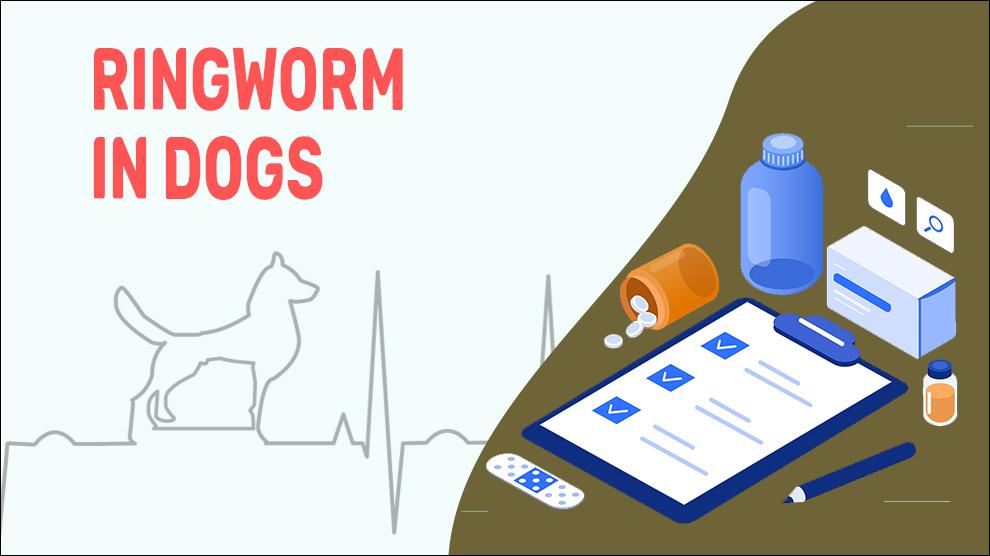 Ringworm In Dogs