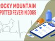 Rocky Mountain Spotted Fever In Dogs