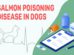 Salmon Poisoning Disease In Dogs
