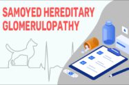 Samoyed Hereditary Glomerulopathy