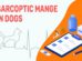 Sarcoptic Mange In Dogs