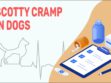 Scotty Cramp In Dogs