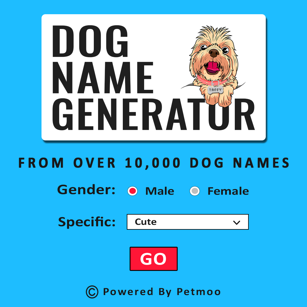 Dog Name Generator - Petmoo