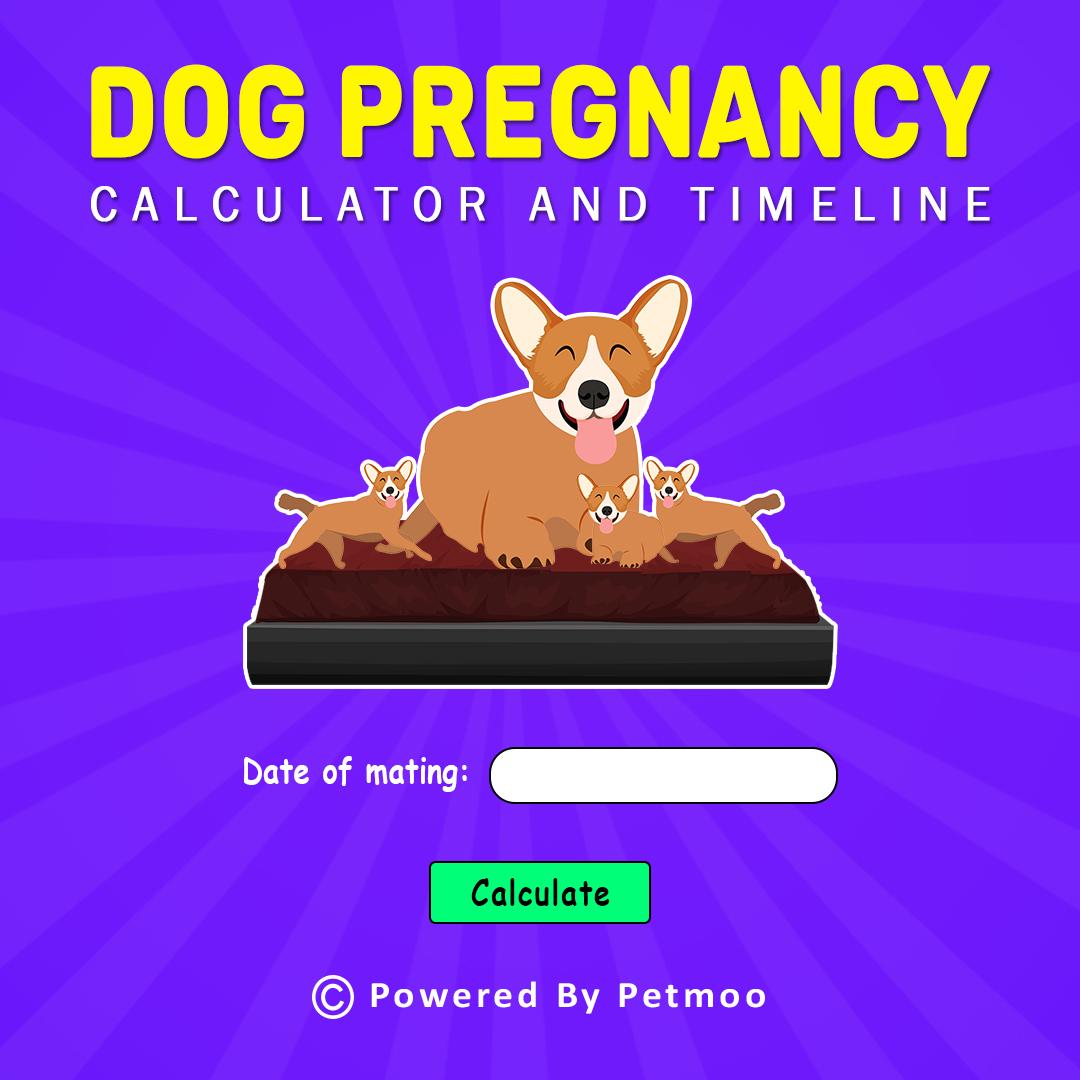 are puppies born on their due date