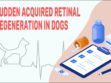 Sudden Acquired Retinal Degeneration In Dogs