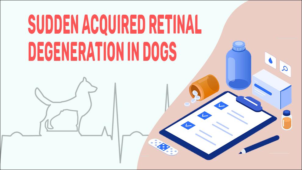 Sudden Acquired Retinal Degeneration In Dogs