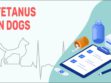 Tetanus In Dogs