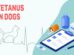 Tetanus In Dogs