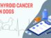 Thyroid Cancer In Dogs