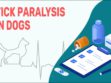 Tick Paralysis In Dogs