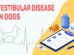 Vestibular Disease In Dogs