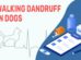 Walking Dandruff In Dogs