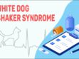 White Dog Shaker Syndrome
