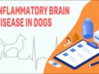 Inflammatory Brain Disease In Dogs
