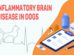 Inflammatory Brain Disease In Dogs
