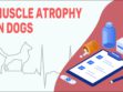 Muscle Atrophy In Dogs